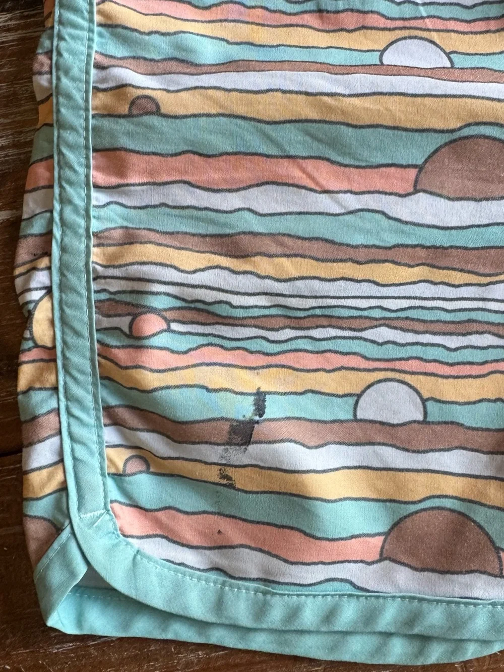 Retro Sun-Wave Swim Trunks with Mint Trim by Feather 4 Arrow